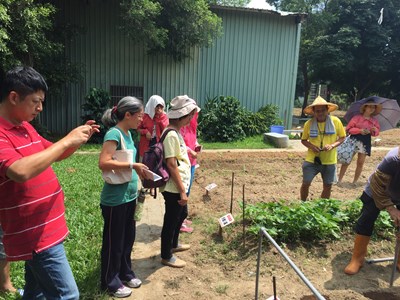 食農教育正夯 中市府免租金「環保農園」開放報名