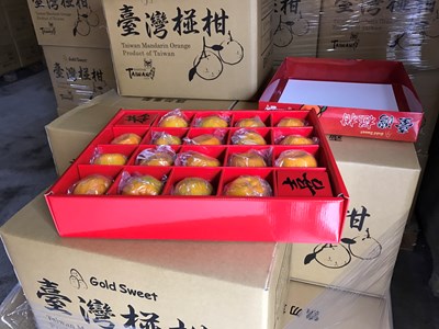 中市優質椪柑 首批17噸外銷馬來西亞