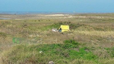 高美濕地保護區遭人搭設工寮  中市農業局執法拆除