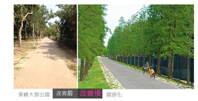 推動市中心精華路段綠色道路  中市建設局改善綠園道行走環境