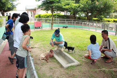 農委會動物保護、收容管制評鑑 中市「雙特優、雙最佳」 動物福利NO.1