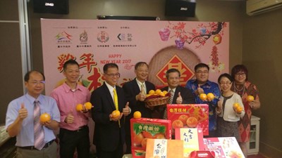 台中椪柑東南亞超愛 訂單達百噸