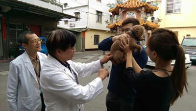 新年讓寵物更健康    中市1、2月份疫苗巡迴注射12日開跑