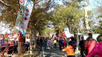 中市神岡區社南里花海節登場 假日及春節好去處