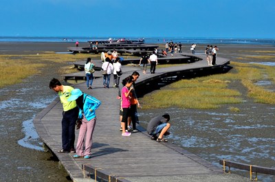 遊高美濕地 農業局籲請遵守管制規定 以免受罰