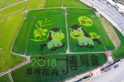 彩繪稻田收割  稻米全數捐做公益