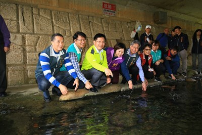 打造沙鹿南勢溪水綠交織生態河  林市長：恢復河川生命