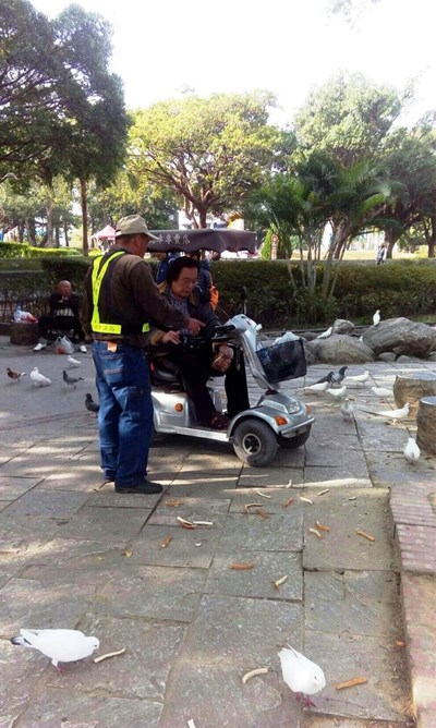 禽流感防疫首日 中市府公園勸導民眾勿餵野鴿 明日起開罰