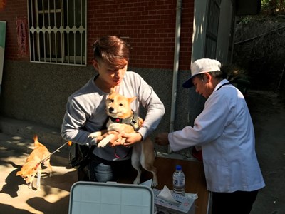 阻絕狂犬病傳播   中市3月份疫苗巡迴注射7日開跑