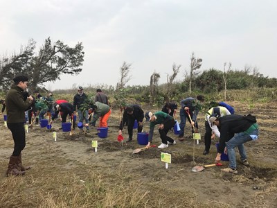 加強防風定砂 中市府百人海岸植樹活動圓滿成功