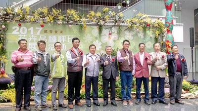 市政大樓花卉評比展示登場  提前為2018台中花博暖身