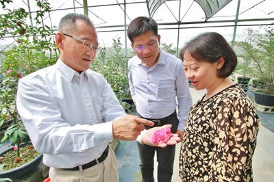 全球首座民間熱帶植物保育園區  林市長邀請辜嚴倬雲植物保種中心參與2018台中花博