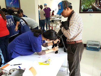 落實犬貓源頭管理   偏鄉犬貓絕育三合一活動加開場次