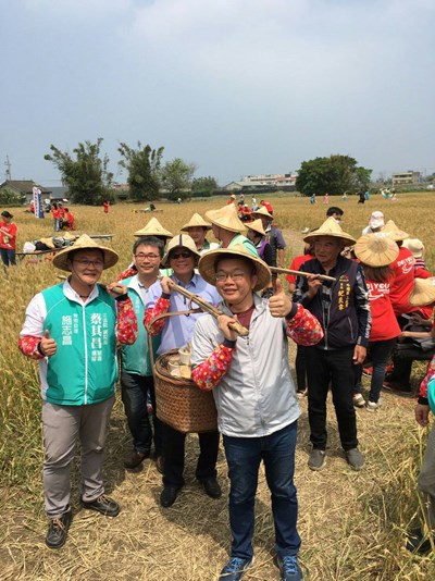 外埔小麥推廣活動熱鬧登場  金黃色麥浪迎風搖曳