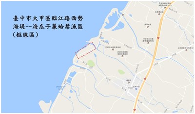 大甲區臨江路西勢海堤沿岸 6月起禁採「海瓜子簾蛤」