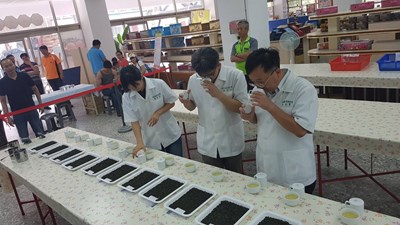 優質梨山茶品茗評鑑結果出爐   黃名村獲特等獎