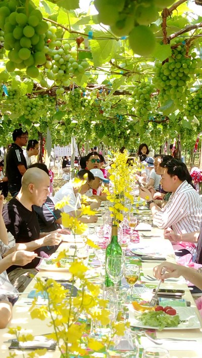 港澳旅行社踩線團 驚艷台中葡萄樹下大地餐桌