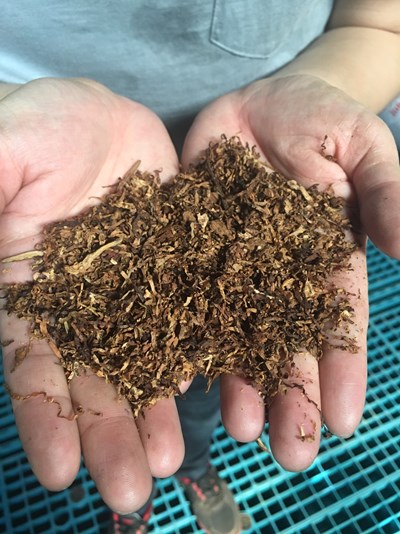 中市府財政局查扣18.6公噸走私菸草絲 將依法銷毀維護民眾健康