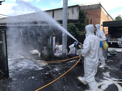 大安傳禽流感個案    市府撲殺消毒