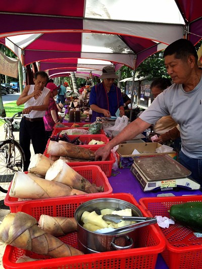 打造假日遊憩新亮點 中市府國資圖旁設農夫市集與小花海