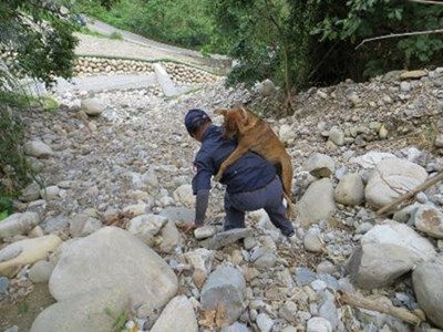 動保業務再進步 市府將建置專職動物救援機制