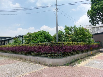 中市水肥中心鐵皮圍籬改綠色植栽 鄰避設施變「好厝邊」