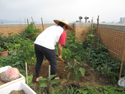 中市「堆肥工作坊」8/23開班  邀民眾化身都市農夫