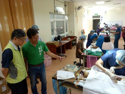 落實源頭管理 中市犬貓絕育3合1活動前進大甲
