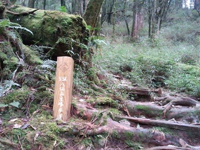 一日兩起谷關登山意外 消防局籲攀登前做好充分準備