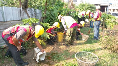 中市防治登革熱總動員  對症下藥降低疫情風險