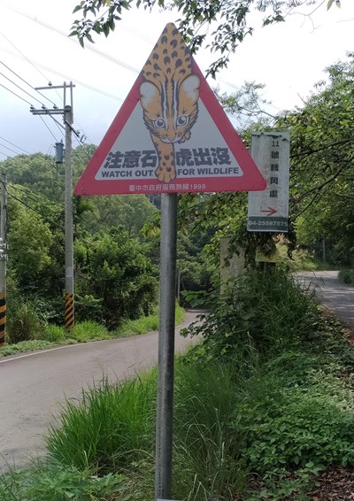 石虎出沒告示牌