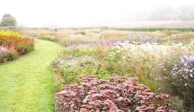 WhatsApp Image 2018-05-31 at 10.35.40 PM