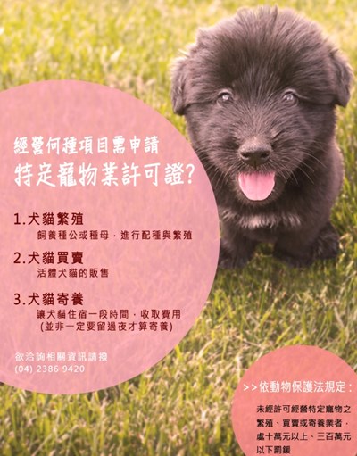 購買或寄養犬貓選擇管道多 中市府提醒民眾選擇合法寵物店家