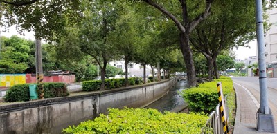 WhatsApp Image 2018-07-24 at 2.31.15 PM(1)