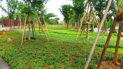 外埔園區植栽生長情形