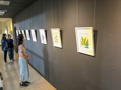 鐘麗琴水彩原畫展 台灣原生花卉原作加花卉詩文迎花博 (1)