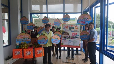柑橘產季適逢花博展期 中市微旅行賞花又採橘