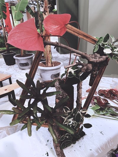 花博外埔園區智農館 火鶴特展即日登場(1)