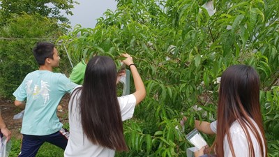 中市職涯體驗 媒合社區資源鼓勵多元學習(1)