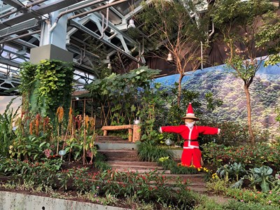 外埔園區智農館進行耶誕佈置