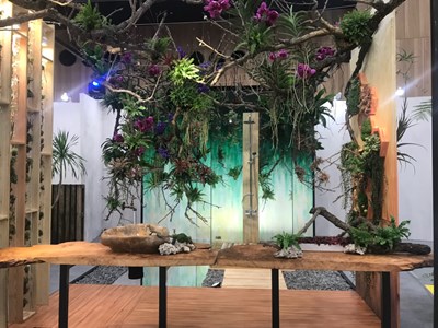 金獎-家.映射溫暖(庭坊花卉園藝)2