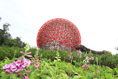 花博后里森林園區_聆聽花開的聲音