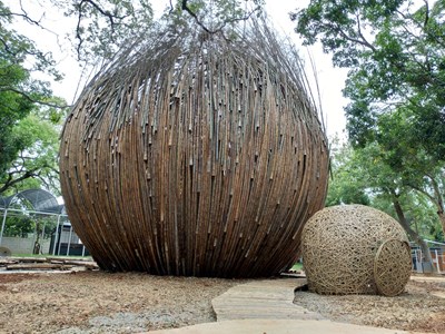 花博后里森林園區 天下掉下來的一顆種子