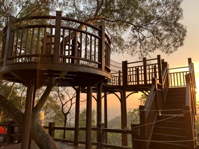 大坑10號步道相思樹觀景平台完工開放360度俯瞰台中美景