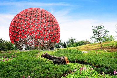 聆聽花開的聲音