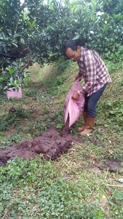 中市加碼補助國產有機肥  每公頃最高1萬8,000元全國第一