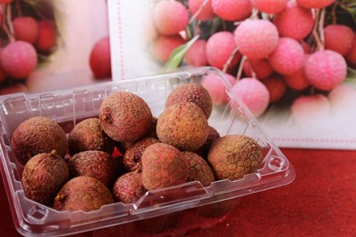 台中荔枝多汁味甘廣受消費者喜愛