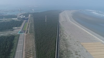 臺中港區植栽綠化