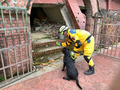 台中、台北9位領犬員帶領12隻搜救犬參訓，模擬搜救犬隊國際任務測驗(MRT)，並進行從德國引進的路徑追蹤訓練。