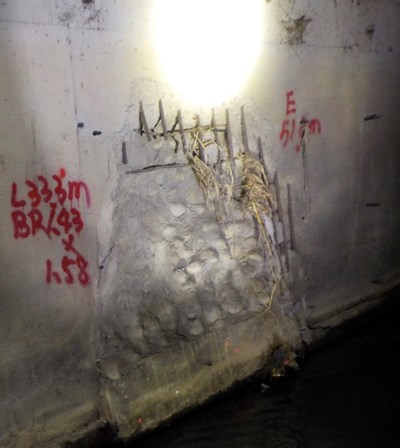 下水道有鋼筋外露混凝土剝落情形